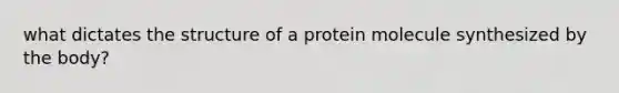 what dictates the structure of a protein molecule synthesized by the body?