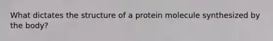 What dictates the structure of a protein molecule synthesized by the body?