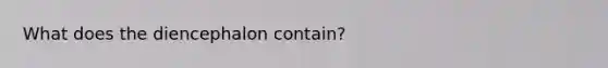 What does the diencephalon contain?