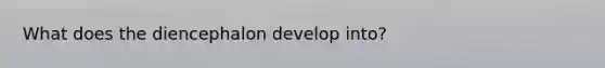 What does the diencephalon develop into?