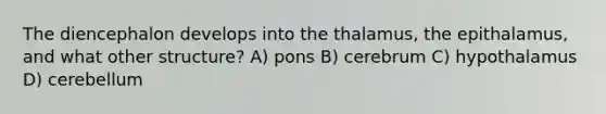 The diencephalon develops into the thalamus, the epithalamus, and what other structure? A) pons B) cerebrum C) hypothalamus D) cerebellum