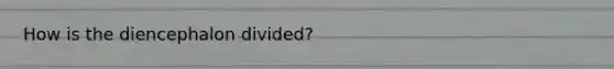 How is the diencephalon divided?