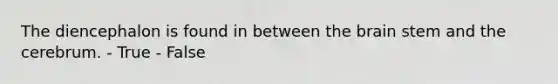 The diencephalon is found in between the brain stem and the cerebrum. - True - False