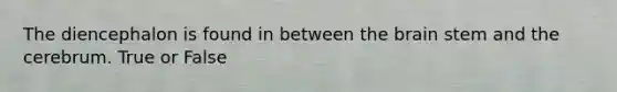 The diencephalon is found in between the brain stem and the cerebrum. True or False