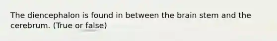The diencephalon is found in between the brain stem and the cerebrum. (True or false)