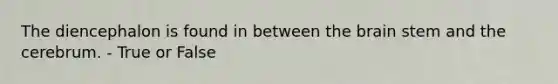 The diencephalon is found in between the brain stem and the cerebrum. - True or False