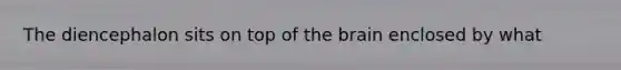 The diencephalon sits on top of the brain enclosed by what