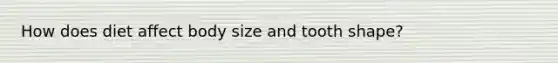 How does diet affect body size and tooth shape?