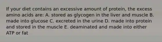 If your diet contains an excessive amount of protein, the excess amino acids are: A. stored as glycogen in the liver and muscle B. made into glucose C. excreted in the urine D. made into protein and stored in the muscle E. deaminated and made into either ATP or fat