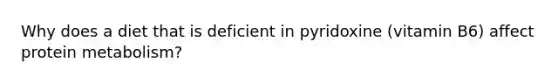 Why does a diet that is deficient in pyridoxine (vitamin B6) affect protein metabolism?