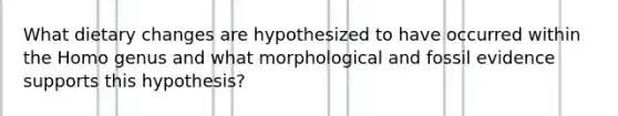 What dietary changes are hypothesized to have occurred within the Homo genus and what morphological and fossil evidence supports this hypothesis?