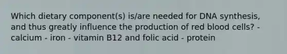 Which dietary component(s) is/are needed for DNA synthesis, and thus greatly influence the production of red blood cells? - calcium - iron - vitamin B12 and folic acid - protein