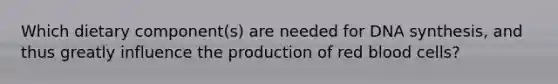 Which dietary component(s) are needed for DNA synthesis, and thus greatly influence the production of red blood cells?