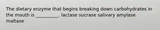 The dietary enzyme that begins breaking down carbohydrates in the mouth is __________. lactase sucrase salivary amylase maltase