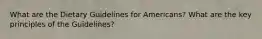 What are the Dietary Guidelines for Americans? What are the key principles of the Guidelines?