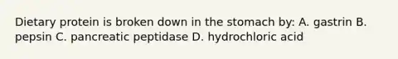 Dietary protein is broken down in the stomach by: A. gastrin B. pepsin C. pancreatic peptidase D. hydrochloric acid
