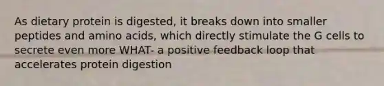 As dietary protein is digested, it breaks down into smaller peptides and amino acids, which directly stimulate the G cells to secrete even more WHAT- a positive feedback loop that accelerates protein digestion