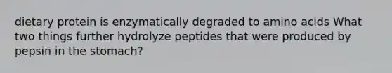 dietary protein is enzymatically degraded to amino acids What two things further hydrolyze peptides that were produced by pepsin in the stomach?