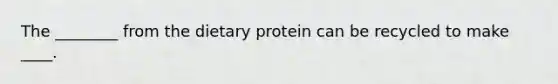 The ________ from the dietary protein can be recycled to make ____.