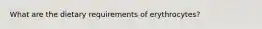 What are the dietary requirements of erythrocytes?