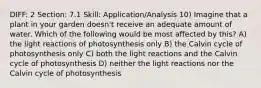 DIFF: 2 Section: 7.1 Skill: Application/Analysis 10) Imagine that a plant in your garden doesn't receive an adequate amount of water. Which of the following would be most affected by this? A) the light reactions of photosynthesis only B) the Calvin cycle of photosynthesis only C) both the light reactions and the Calvin cycle of photosynthesis D) neither the light reactions nor the Calvin cycle of photosynthesis