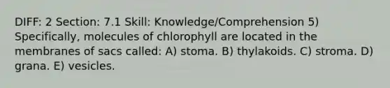 DIFF: 2 Section: 7.1 Skill: Knowledge/Comprehension 5) Specifically, molecules of chlorophyll are located in the membranes of sacs called: A) stoma. B) thylakoids. C) stroma. D) grana. E) vesicles.