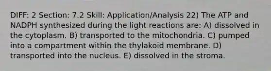 DIFF: 2 Section: 7.2 Skill: Application/Analysis 22) The ATP and NADPH synthesized during the light reactions are: A) dissolved in the cytoplasm. B) transported to the mitochondria. C) pumped into a compartment within the thylakoid membrane. D) transported into the nucleus. E) dissolved in the stroma.