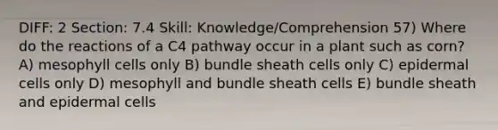 DIFF: 2 Section: 7.4 Skill: Knowledge/Comprehension 57) Where do the reactions of a C4 pathway occur in a plant such as corn? A) mesophyll cells only B) bundle sheath cells only C) epidermal cells only D) mesophyll and bundle sheath cells E) bundle sheath and epidermal cells