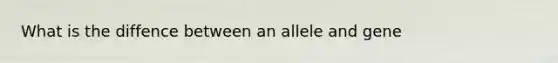 What is the diffence between an allele and gene