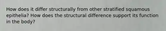 How does it differ structurally from other stratified squamous epithelia? How does the structural difference support its function in the body?