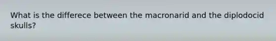 What is the differece between the macronarid and the diplodocid skulls?