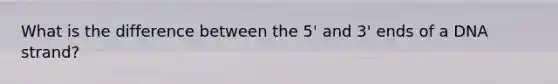 What is the difference between the 5' and 3' ends of a DNA strand?