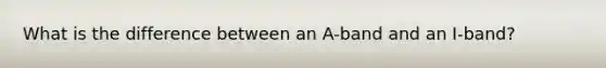 What is the difference between an A-band and an I-band?