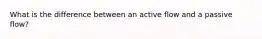 What is the difference between an active flow and a passive flow?