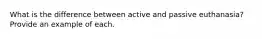 What is the difference between active and passive euthanasia? Provide an example of each.