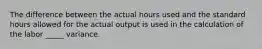 The difference between the actual hours used and the standard hours allowed for the actual output is used in the calculation of the labor _____ variance.