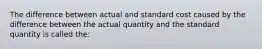 The difference between actual and standard cost caused by the difference between the actual quantity and the standard quantity is called the: