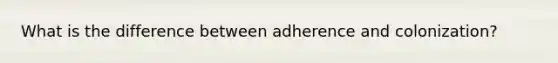 What is the difference between adherence and colonization?