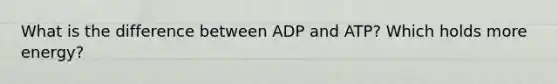 What is the difference between ADP and ATP? Which holds more energy?