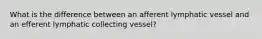 What is the difference between an afferent lymphatic vessel and an efferent lymphatic collecting vessel?