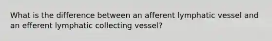 What is the difference between an afferent lymphatic vessel and an efferent lymphatic collecting vessel?