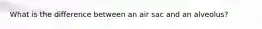 What is the difference between an air sac and an alveolus?