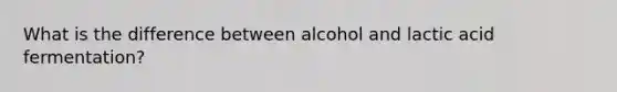 What is the difference between alcohol and lactic acid fermentation?