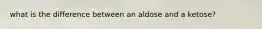 what is the difference between an aldose and a ketose?