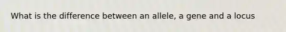 What is the difference between an allele, a gene and a locus