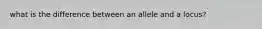 what is the difference between an allele and a locus?
