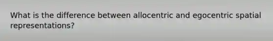 What is the difference between allocentric and egocentric spatial representations?