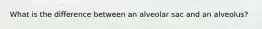 What is the difference between an alveolar sac and an alveolus?