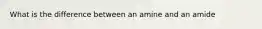What is the difference between an amine and an amide