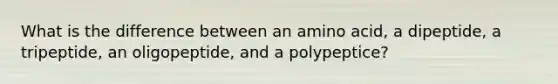 What is the difference between an amino acid, a dipeptide, a tripeptide, an oligopeptide, and a polypeptice?